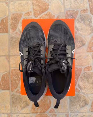 Scarpe Nike pegasus nr.39