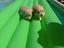 Immagine 10