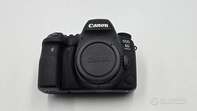 Canon EOS 6D Mark II + Canon EF 24-105 F4 L IS II