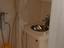 Immagine 18