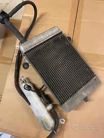 HONDA SH 300 RADIATORE