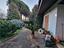 Immagine 12