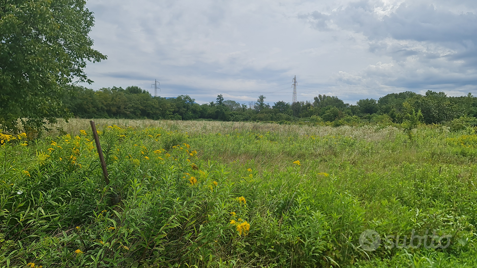 Terreno Agricolo a Gorizia - Zona Mainizza - Vista 2