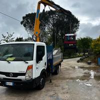 Nissan cabstar con gru