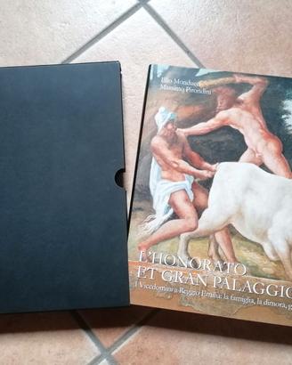 Volume storico:  I Vicedomini a Reggio Emilia