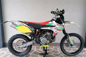 Beta rr 450