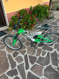 bicicletta 