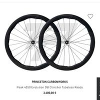 Cerchi Gravel PRINCETON CARBONWORKS Peak 4550