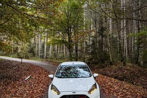Ford Fiesta ST200