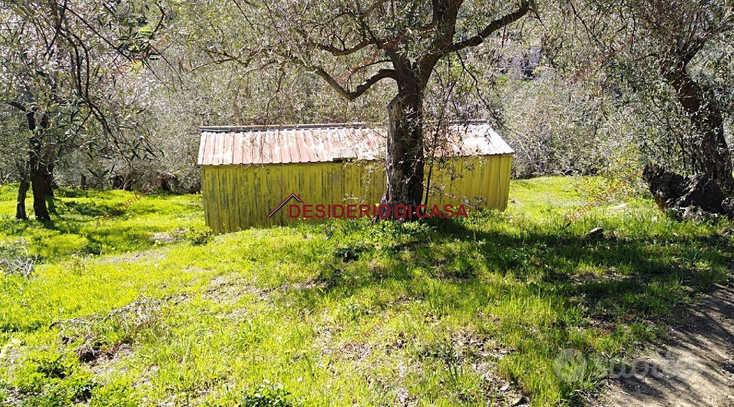 Terreno, Cefalù. - Vista 5