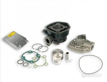 
CILINDRO MALOSSI 70CC D.47 APRILIA SR DITECH