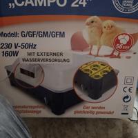 incubatrice per uova di volatili elettronica e aut