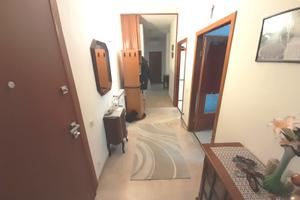 Copparo (fe) centralissimo rif. 22