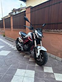 benelli tornado naked t