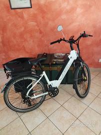 biciclette elettriche 