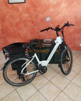biciclette elettriche 