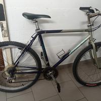 MTB vintage