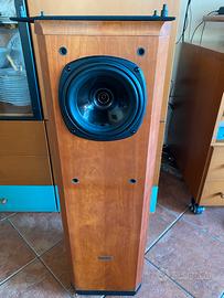 Tannoy D300 prezzo ribassato