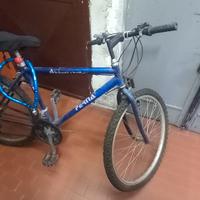 bici mountain-bike 