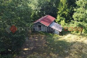 Rustico/Casale/Corte Camporgiano [UM94MGGVCG]