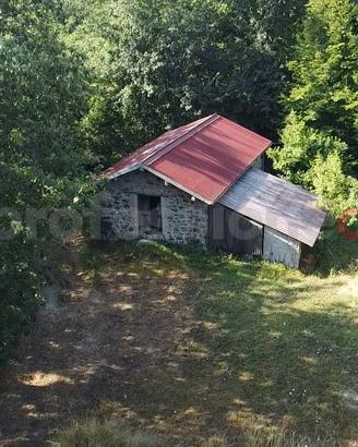 Rustico/Casale/Corte Camporgiano [UM94MGGVCG]