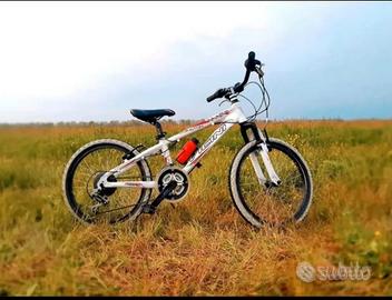 bici MTB 20