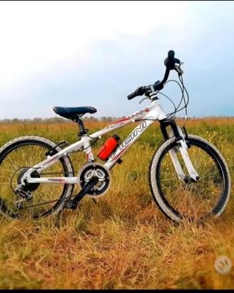 bici MTB 20