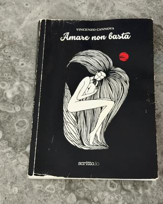 Amare non basta