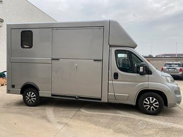 Van trasporto due cavalli