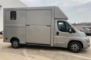 Van trasporto due cavalli