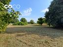 terreno-edificabile-fiumicello-villa-vicentina