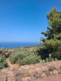 dammuso a Pantelleria