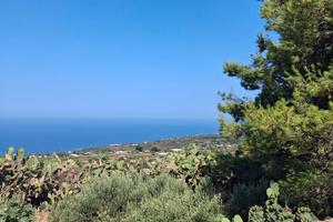 dammuso a Pantelleria