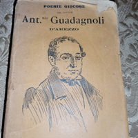 Antico libro di poesie