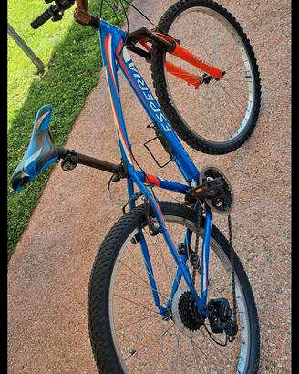 MTB ragazzo 26"