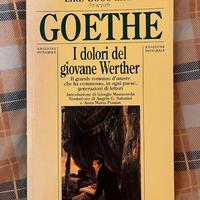 I dolori del giovane Werther. Goethe