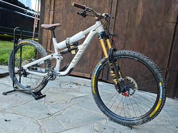 canyon Torque Al 2024 
