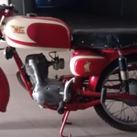 moto morini