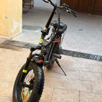 Bici elettrica