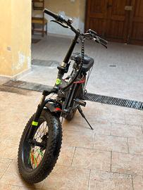 Bici elettrica