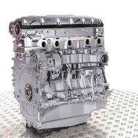 Motore VW T5 2.5 TDI, AXD AXE BNZ BPC, Revisionato