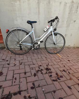 bicicletta donna sport