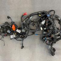 Impianto elettrico Tiger 1200