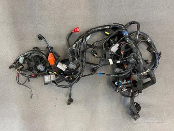 Impianto elettrico Tiger 1200