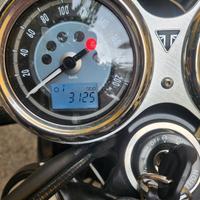 Triumph Bonneville T 100