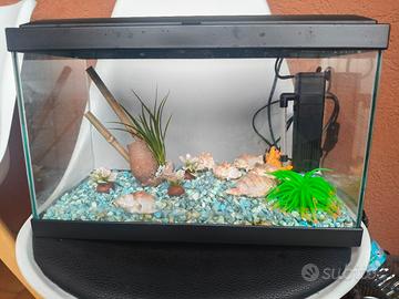acquario più accessori