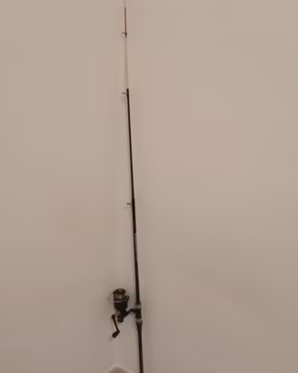 Canna da pesca con mulinello 