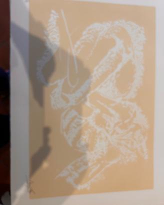 Jorio Vivarelli - Le sbarre - 5 litografie