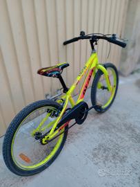 bici 20