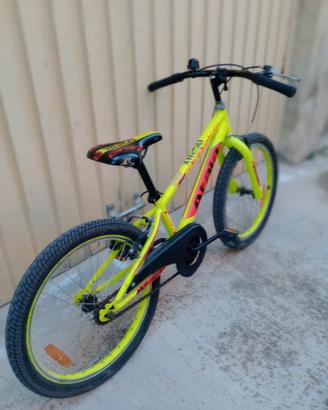 bici 20